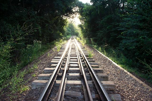 Train tracks converging through a tree-lined corridor, symbolizing connected communities.